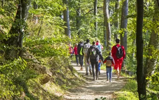 Gemeinsame Gemeindewanderung am 1.Mai